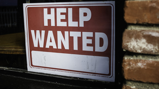 Have you struggled to find work in the current job market?
