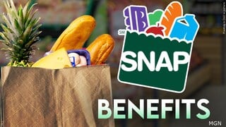 Do you agree with the state attorneys general suing the Trump administration over SNAP benefits? Do you agree with the state attorneys general suing the Trump administration over SNAP benefits?