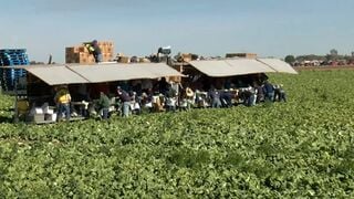 Do you agree with the Trump Administration ending the auto renewal for immigrants' work permits? Do you agree with the Trump Administration ending the auto renewal for immigrants' work permits?