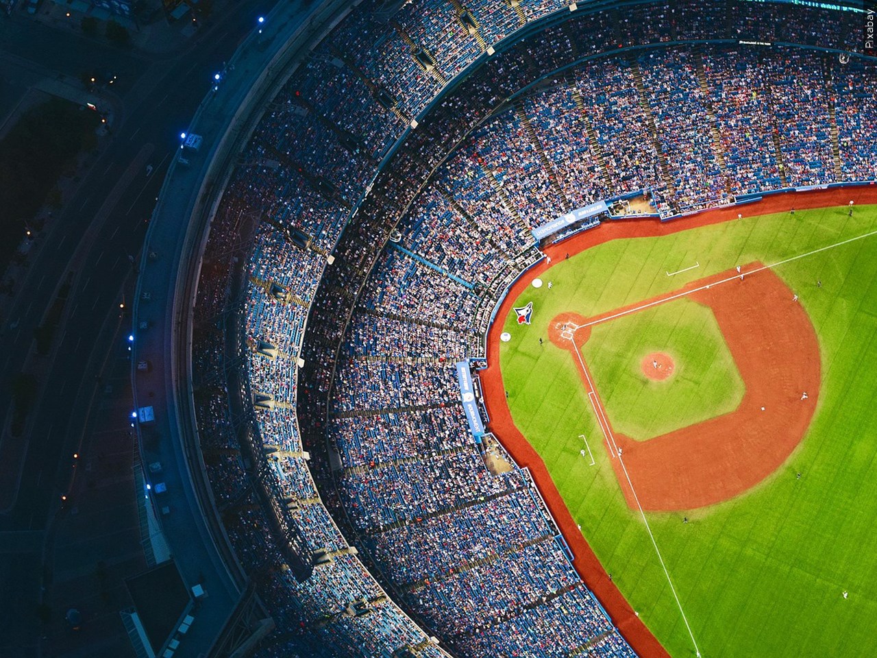 Did you watch any of this year's World Series?
