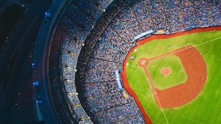 Did you watch any of this year's World Series?