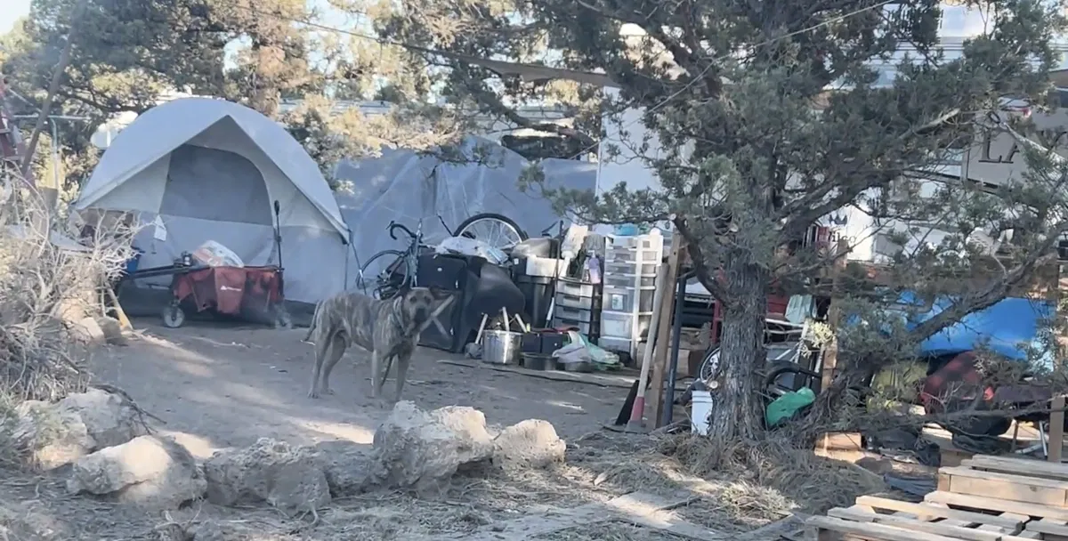 Do you support managed homeless camps as a means to get people off the streets?