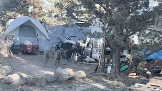 Do you support managed homeless camps as a means to get people off the streets?