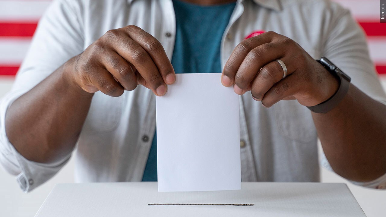 Did you vote in today's election?