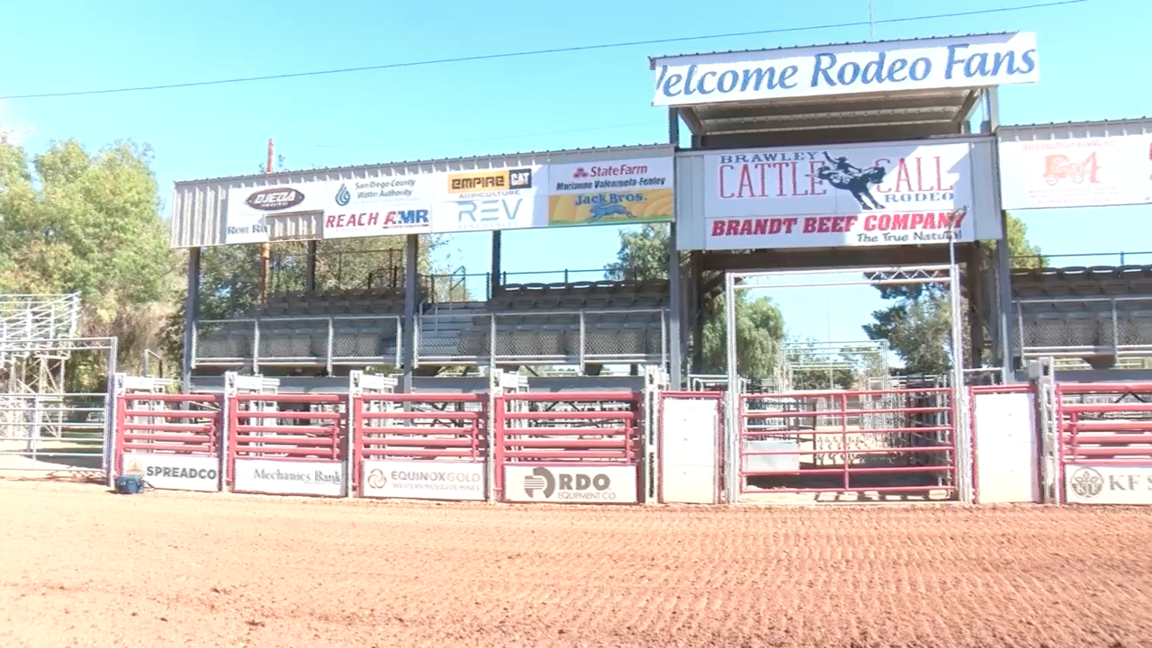 Will you be going to Cattle Call this year?