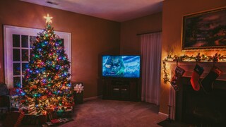 Do you have a favorite holiday movie?