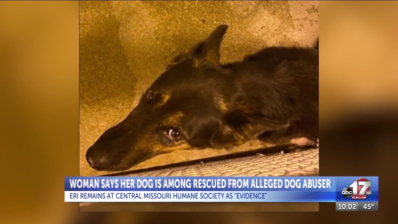 Should Missouri have tougher regulations for dog breeders?