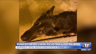 Should Missouri have tougher regulations for dog breeders?