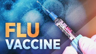 Have you gotten/will you get a flu shot?