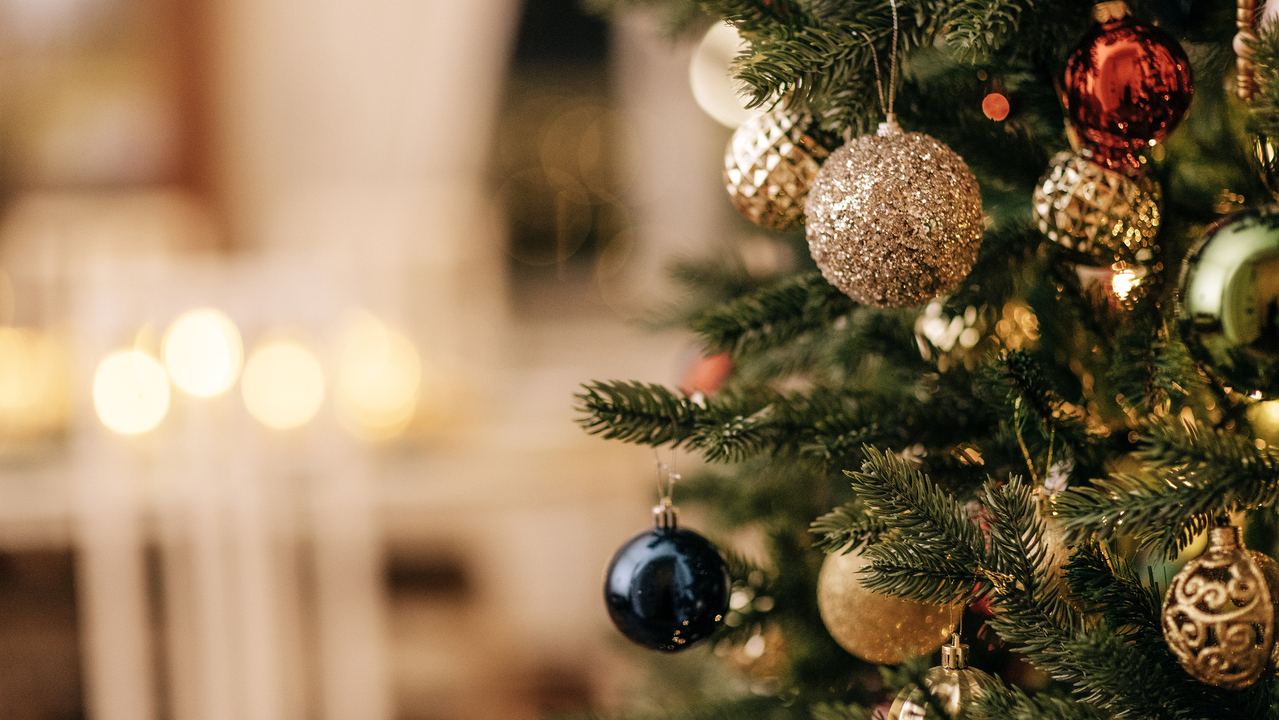 Have you put up your Christmas tree?