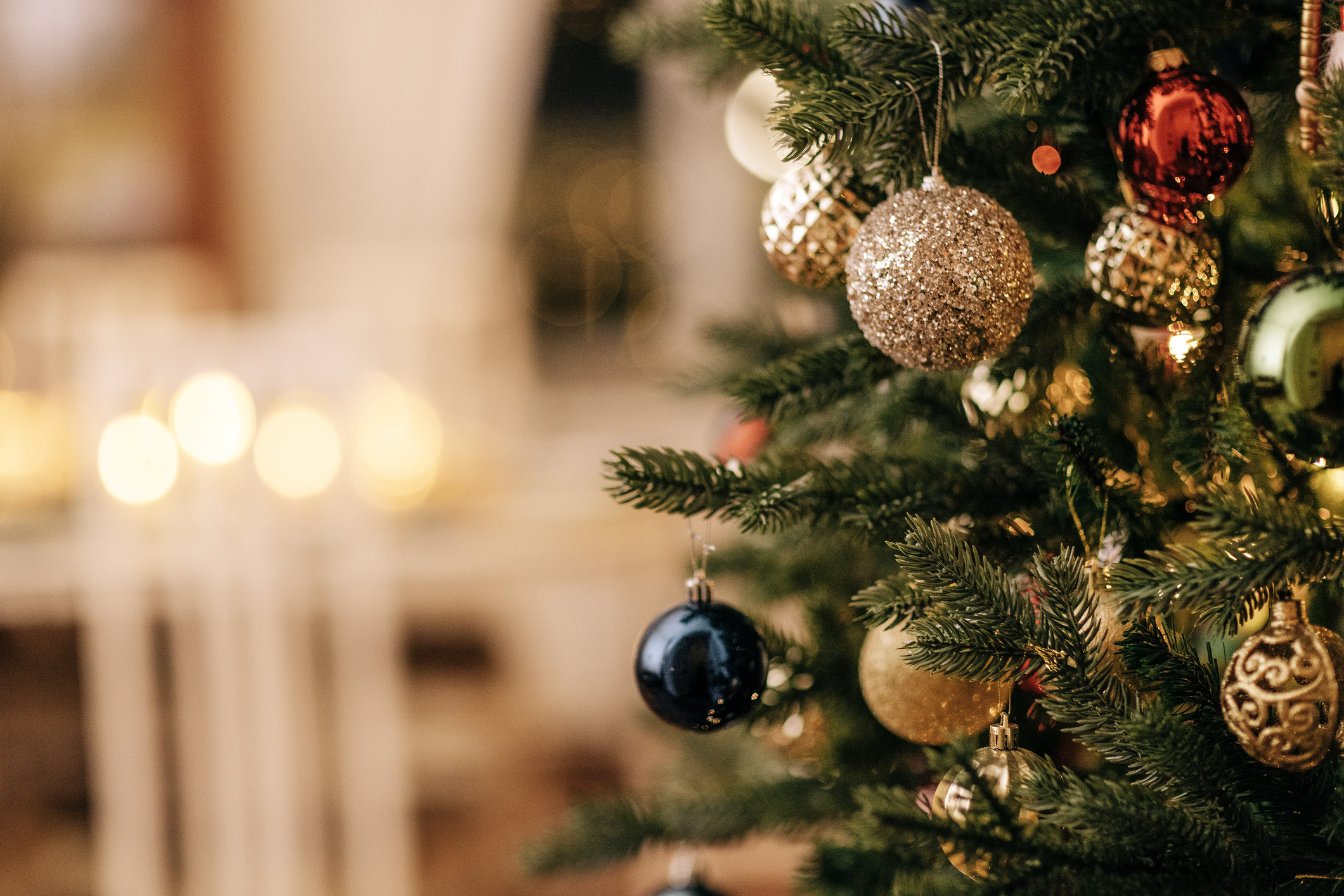 Have you put up your Christmas tree?