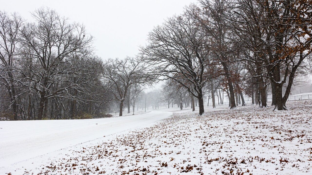 Were you able to get around alright during Monday's snowstorm?