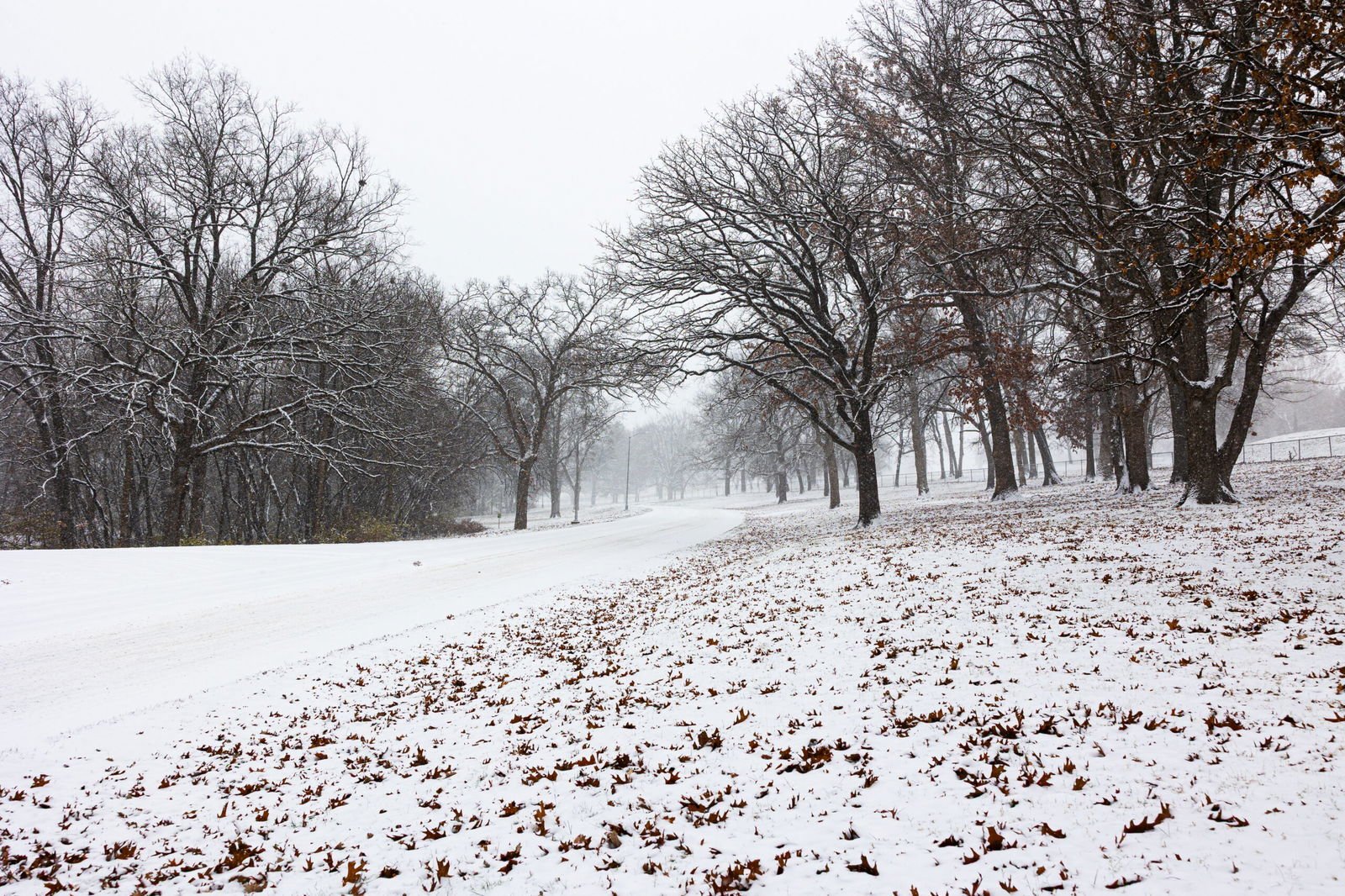 Were you able to get around alright during Monday's snowstorm?