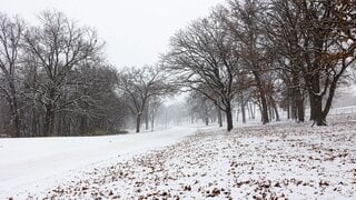 Were you able to get around alright during Monday's snowstorm?