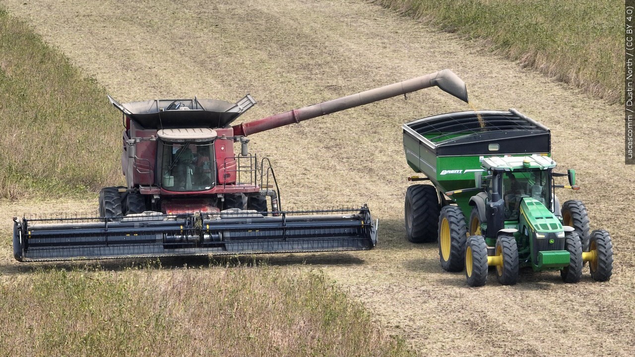 Do you think President Trump should send U.S. farmers $12 billion in federal aid?