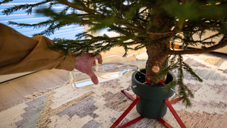 Do you prefer real or fake Christmas trees?