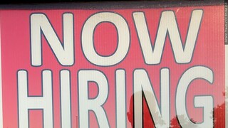 Should more be done in dealing with the unemployment crisis?