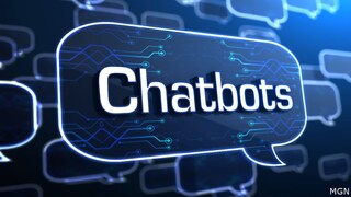 Have you used an AI chatbot?