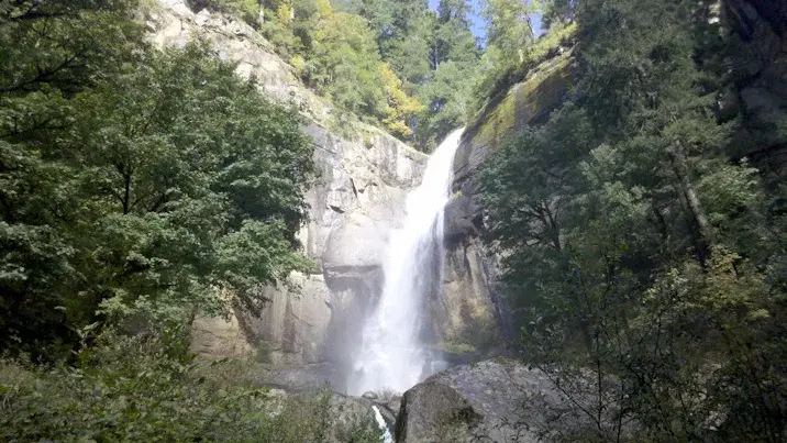 Will higher state park fees make you visit them less often than you do now? 