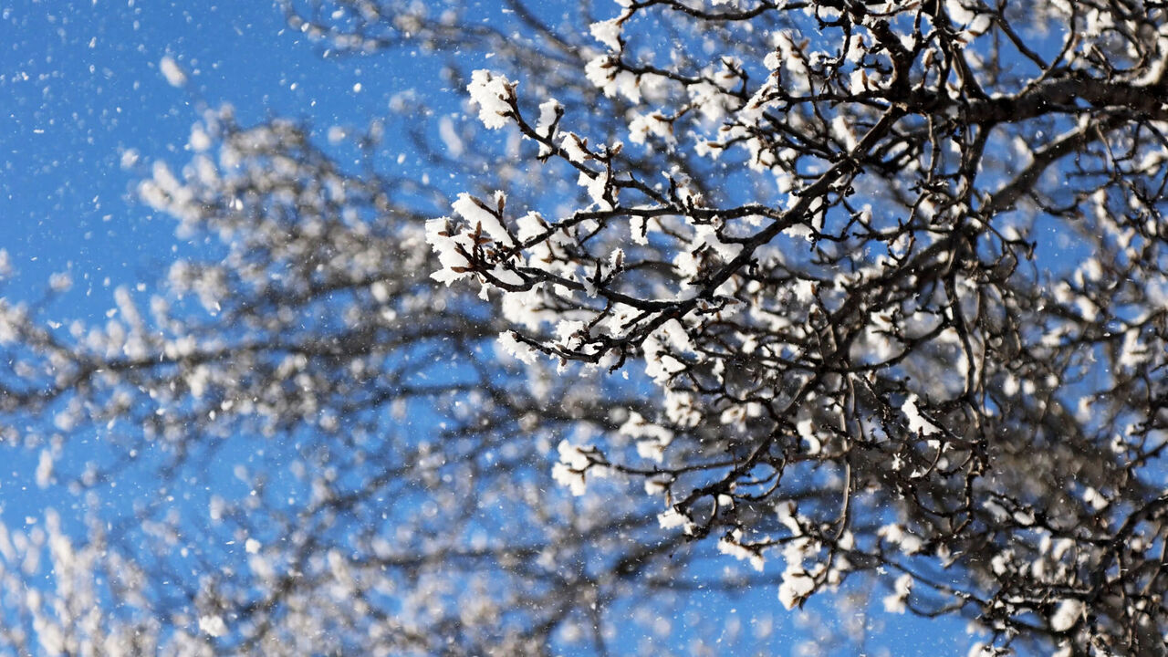 Are you disappointed by the lack of snow so far this season?