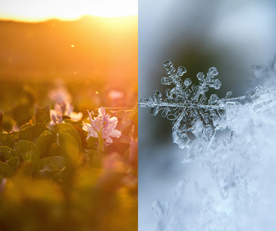 What's the best season?