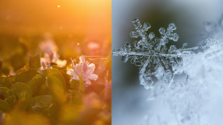 What's the best season?