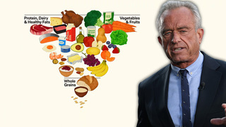 RFK's new food pyramid...