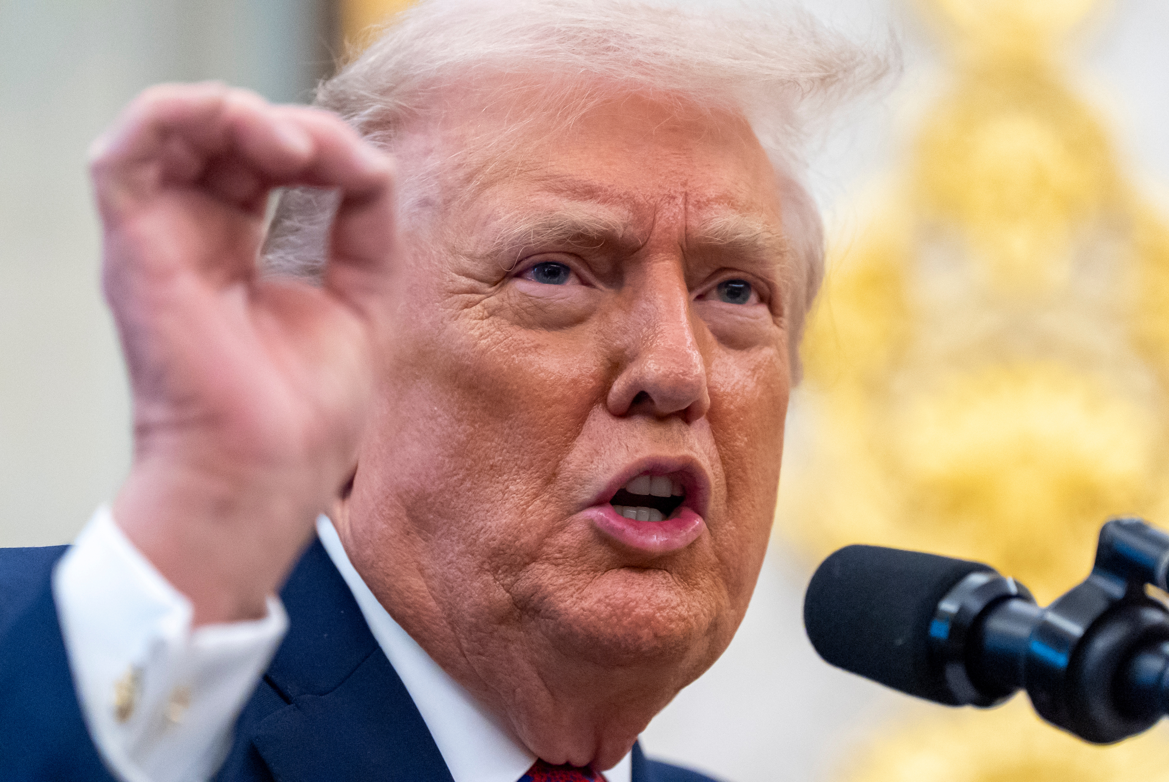 How would you rate the first year of Trump's second term?