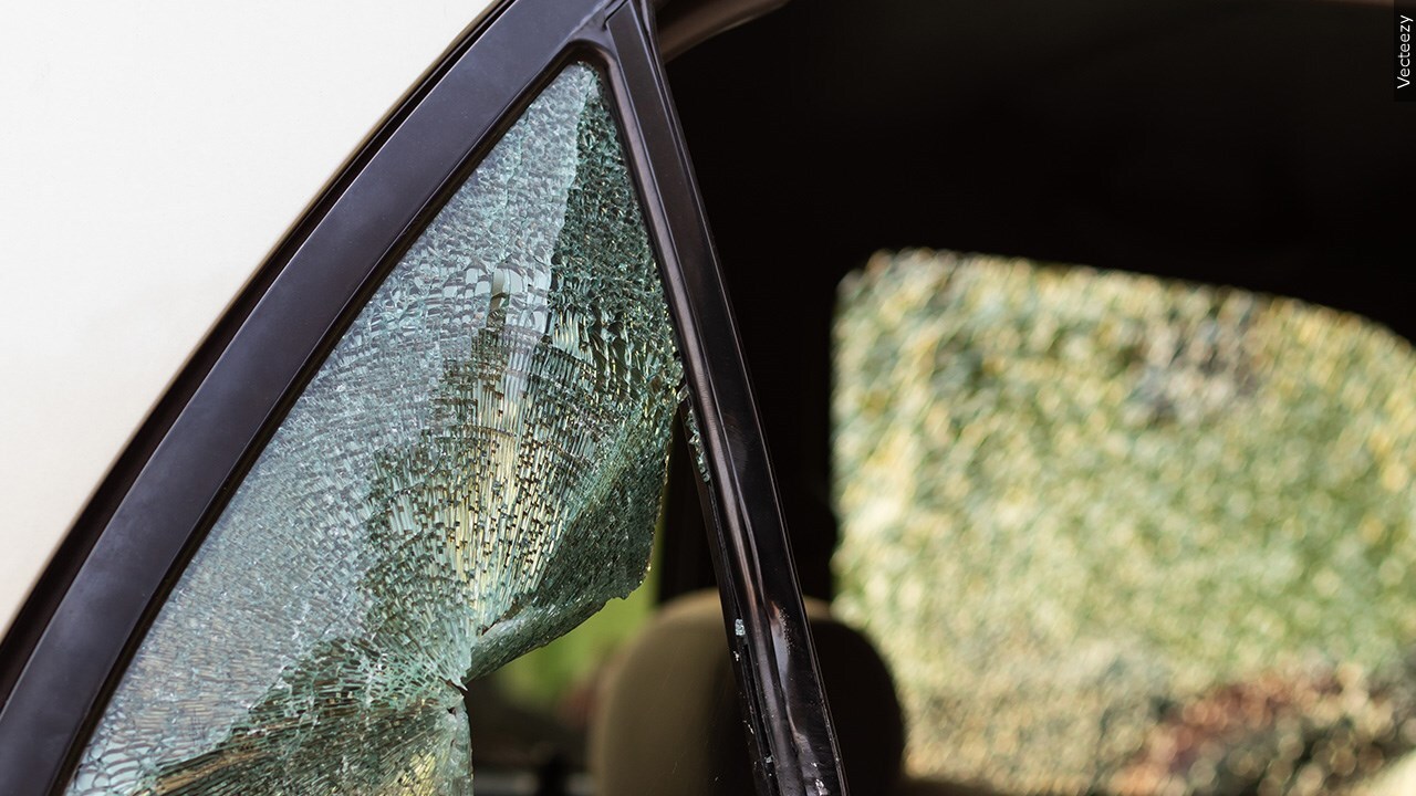 Have you ever been a victim of vehicle theft?