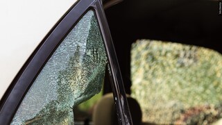 Have you ever been a victim of vehicle theft?