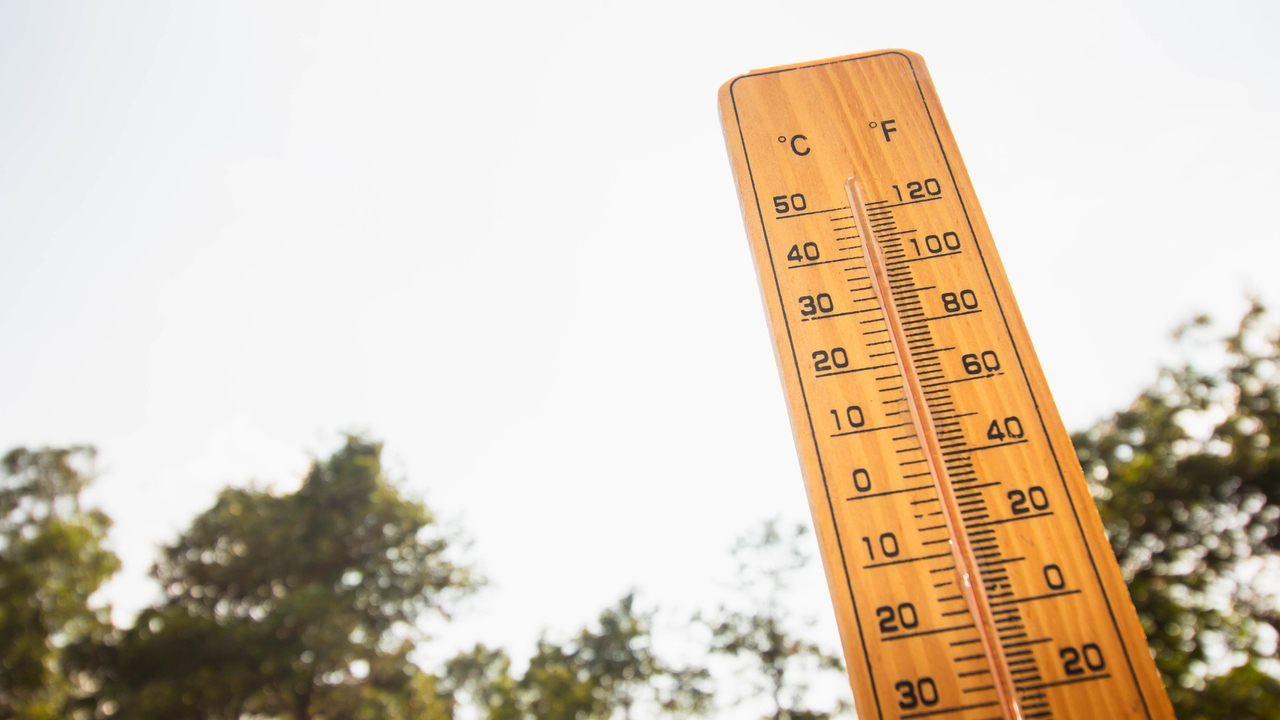 Are you enjoying the above average temperatures?