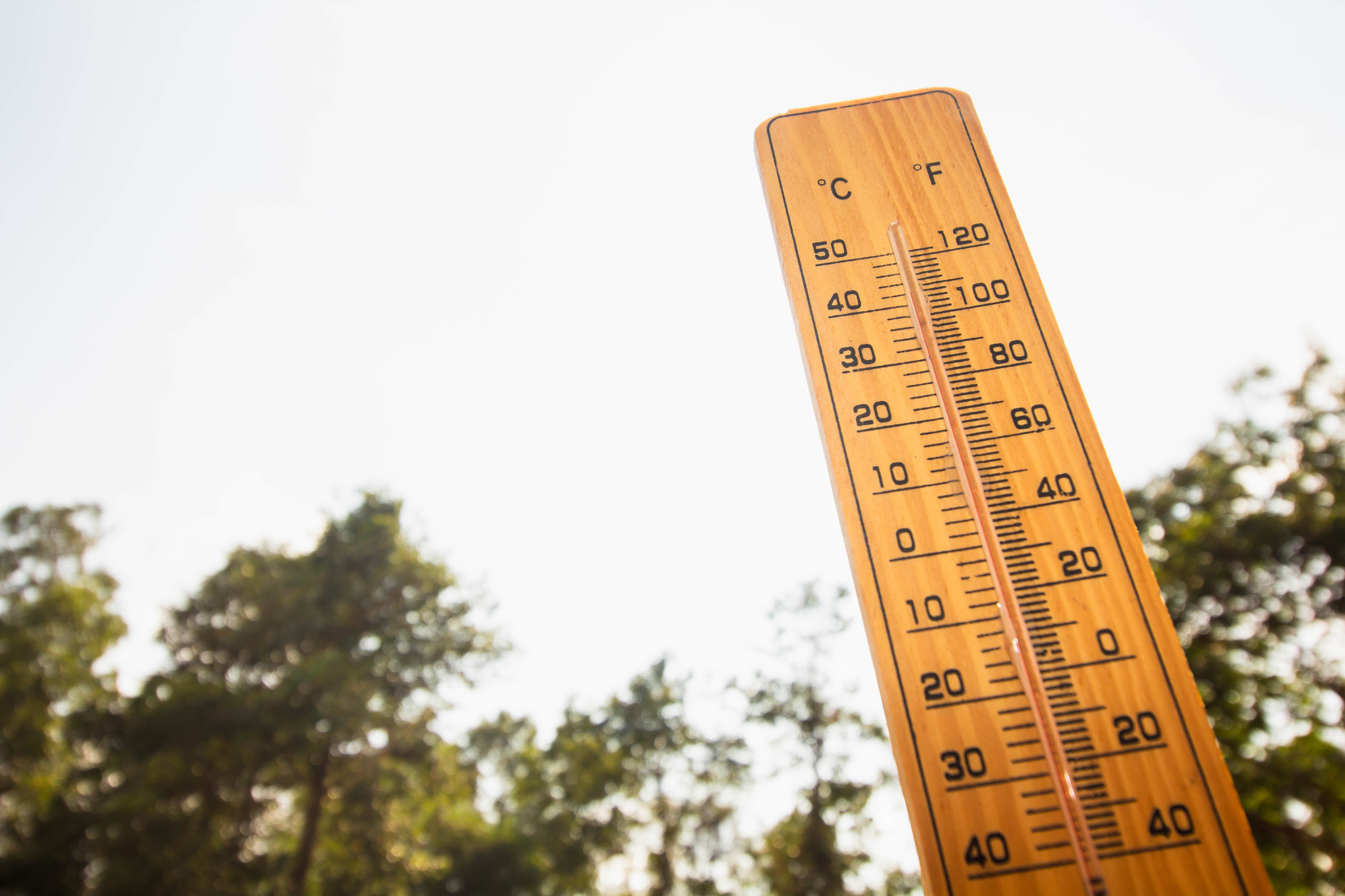Are you enjoying the above average temperatures?