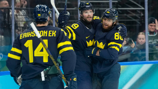 Have you watched any of the Winter Olympics?