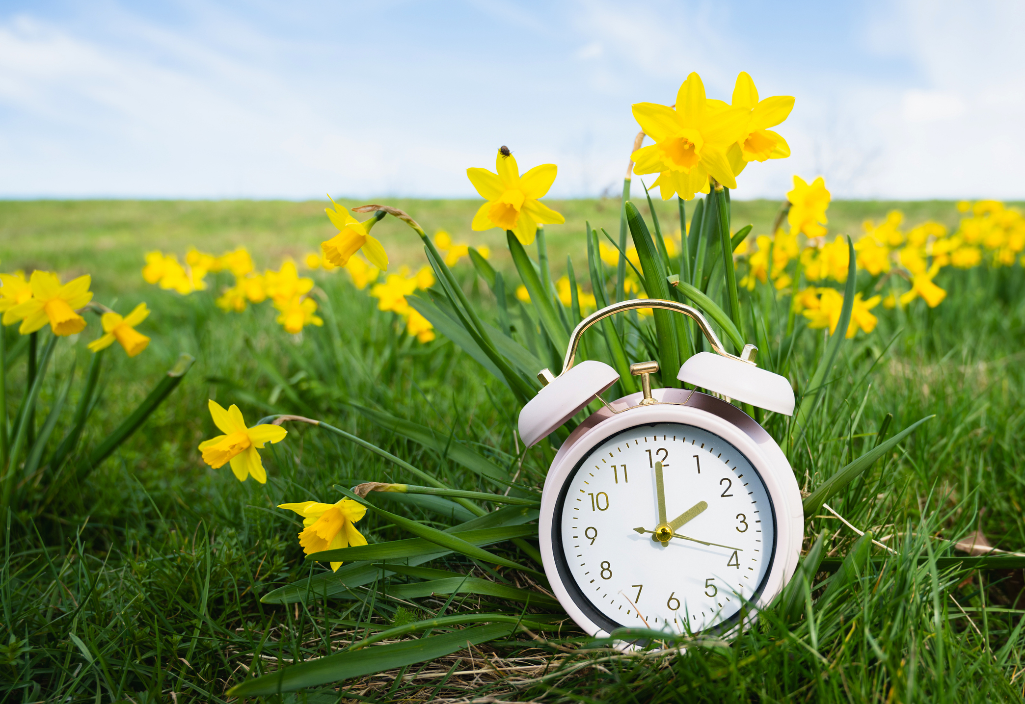Are you ready for Daylight Saving Time?