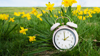 Are you ready for Daylight Saving Time?