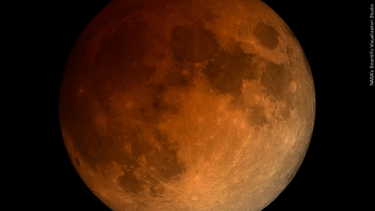 Did you see the Lunar Eclipse this morning?