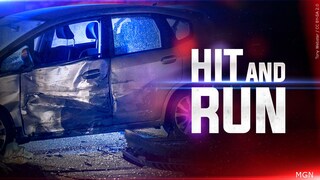 Do you think more should be done in preventing hit and run crashes?