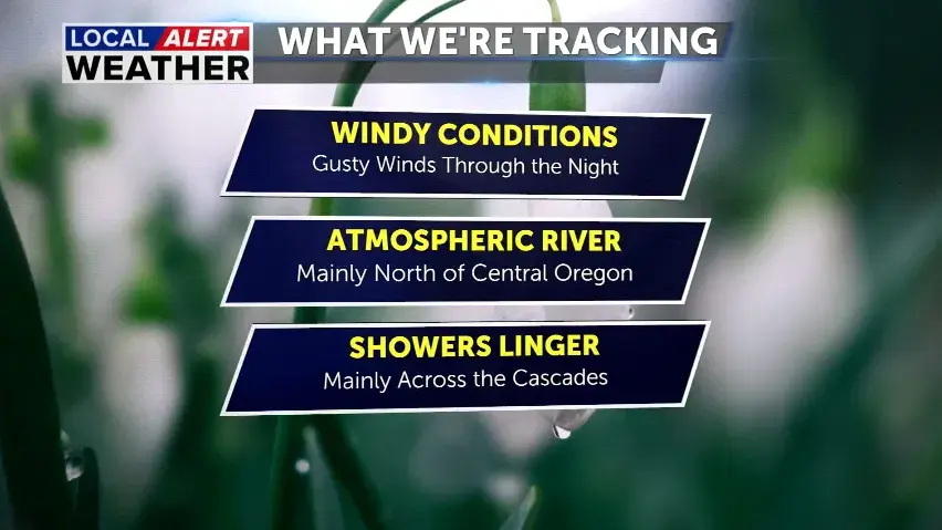 Have you been affected by these high winds?