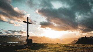 Do you attend religious services regularly or only for major observances?