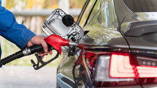 Have you cut back on driving because of high gas prices?