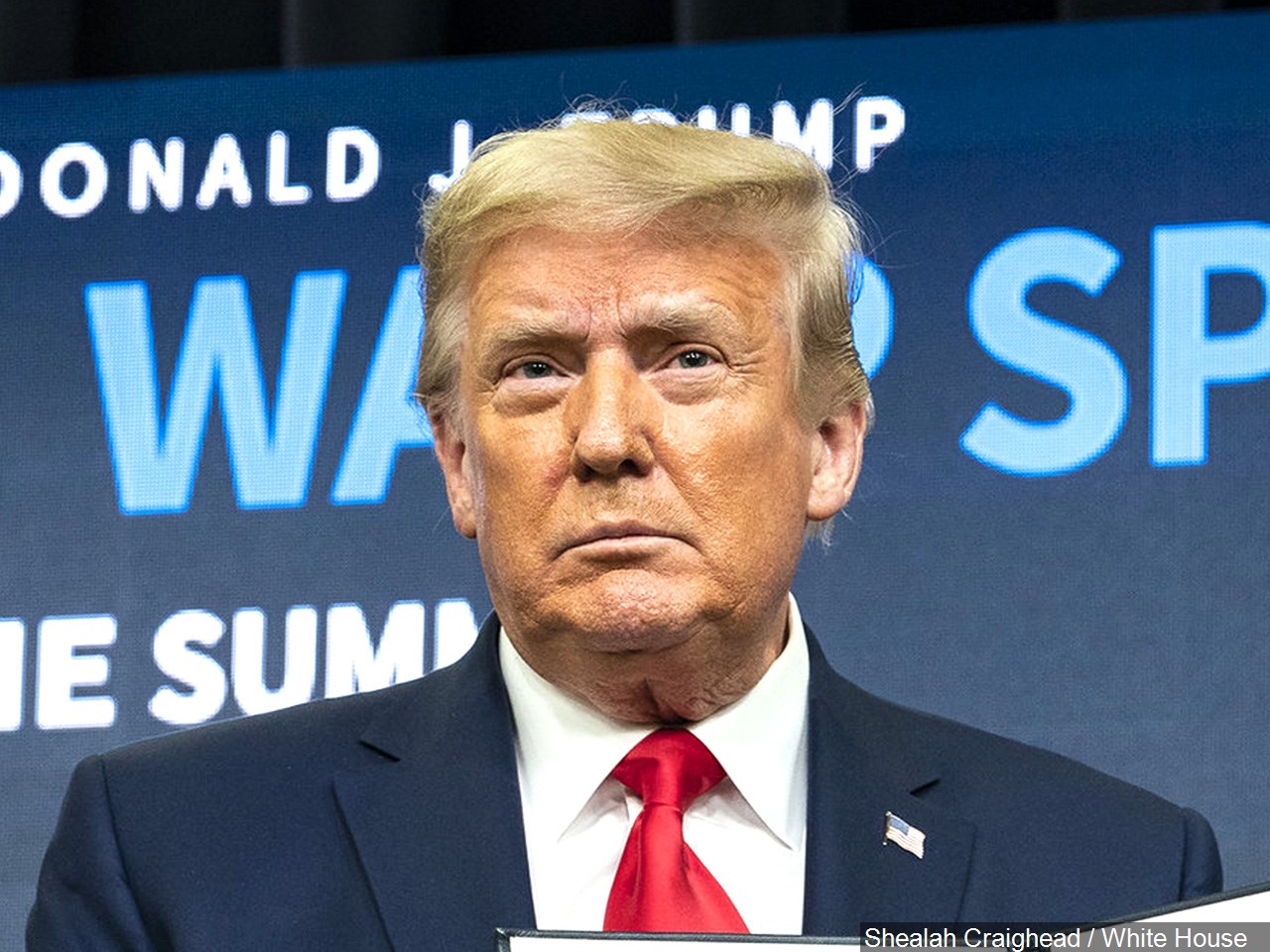 Should President Trump be immediately removed from office?