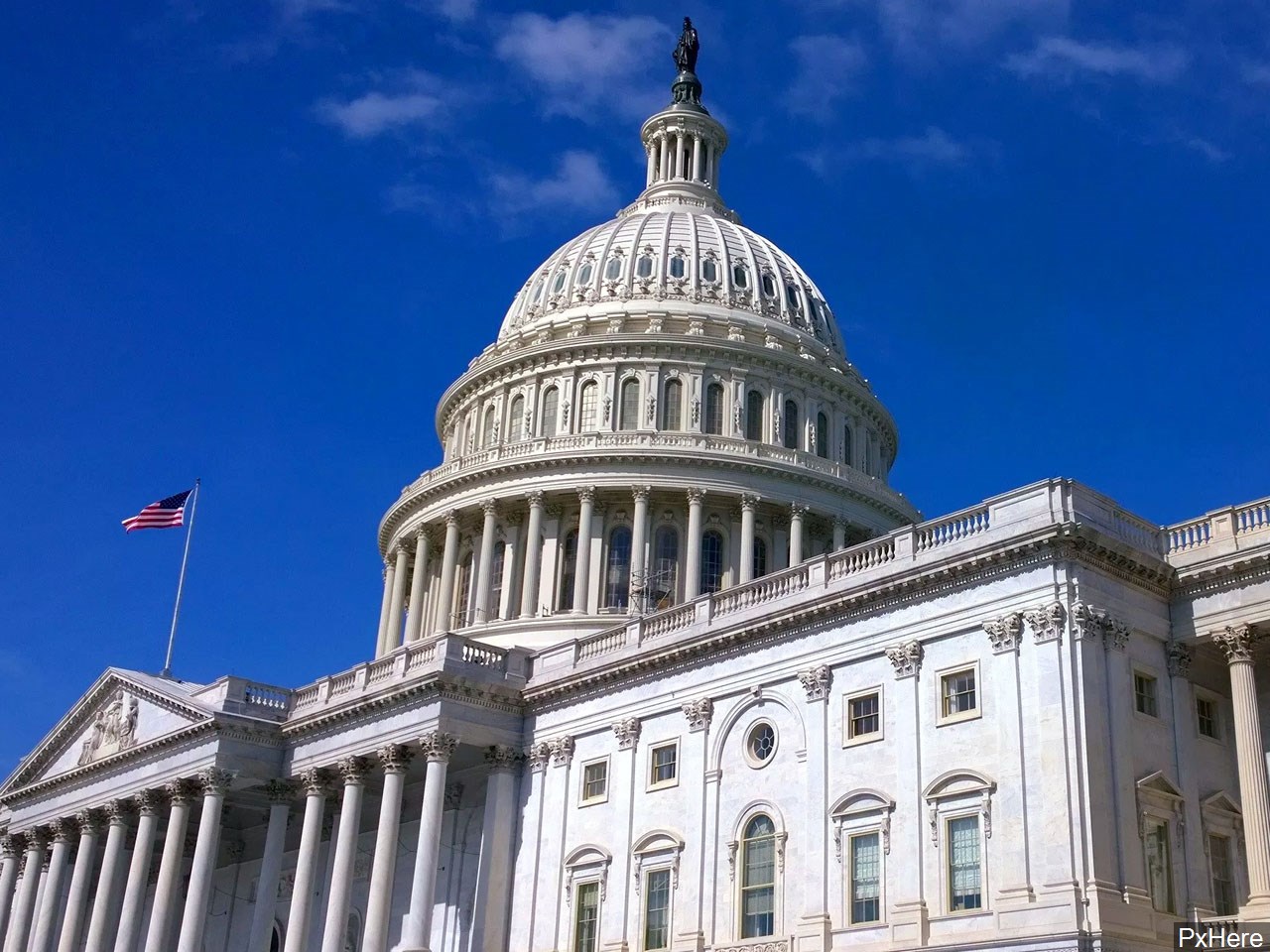 Should the Senate discipline Josh Hawley for his role in last week's events at the Capitol?