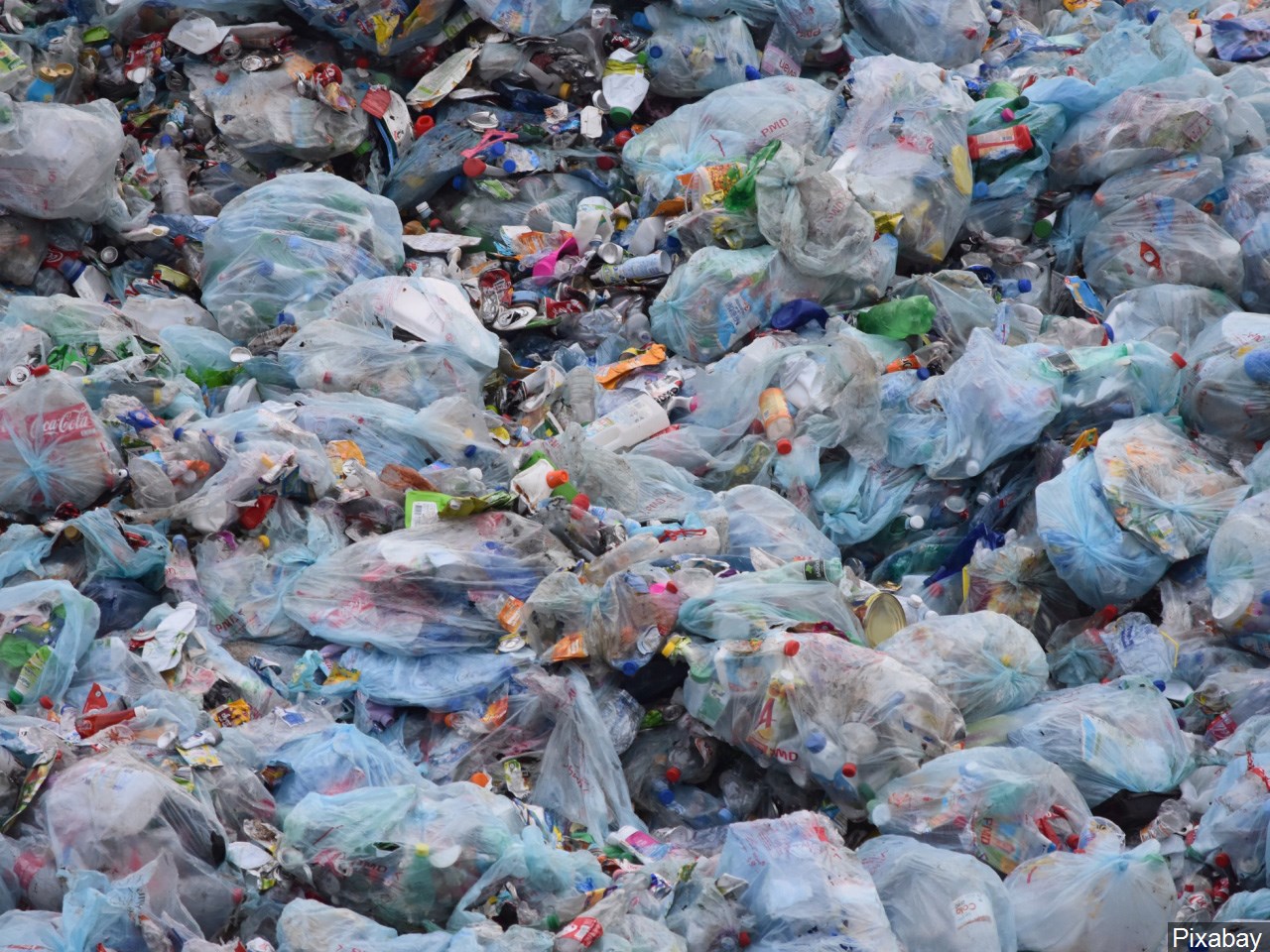 Are two trash bags per week enough for your household?