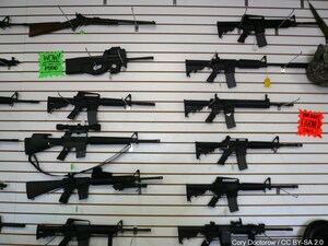 Do you support more gun regulations?