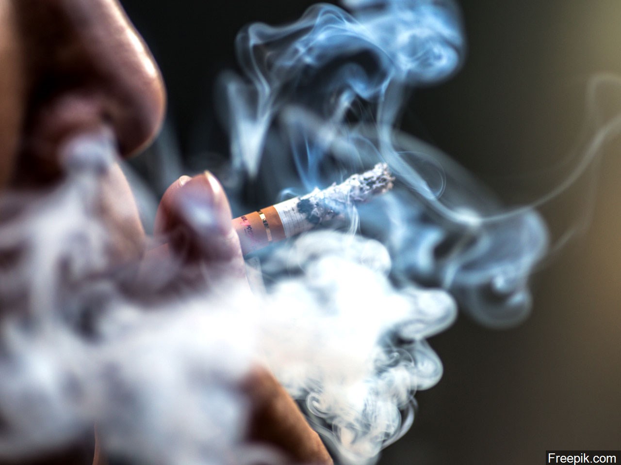 Do you agree with the FDA's move to ban menthol cigarettes? 