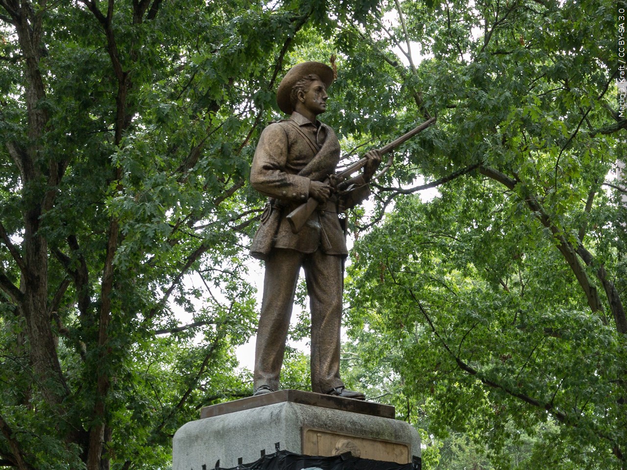 Should Congress remove Confederate statues from the Capitol?