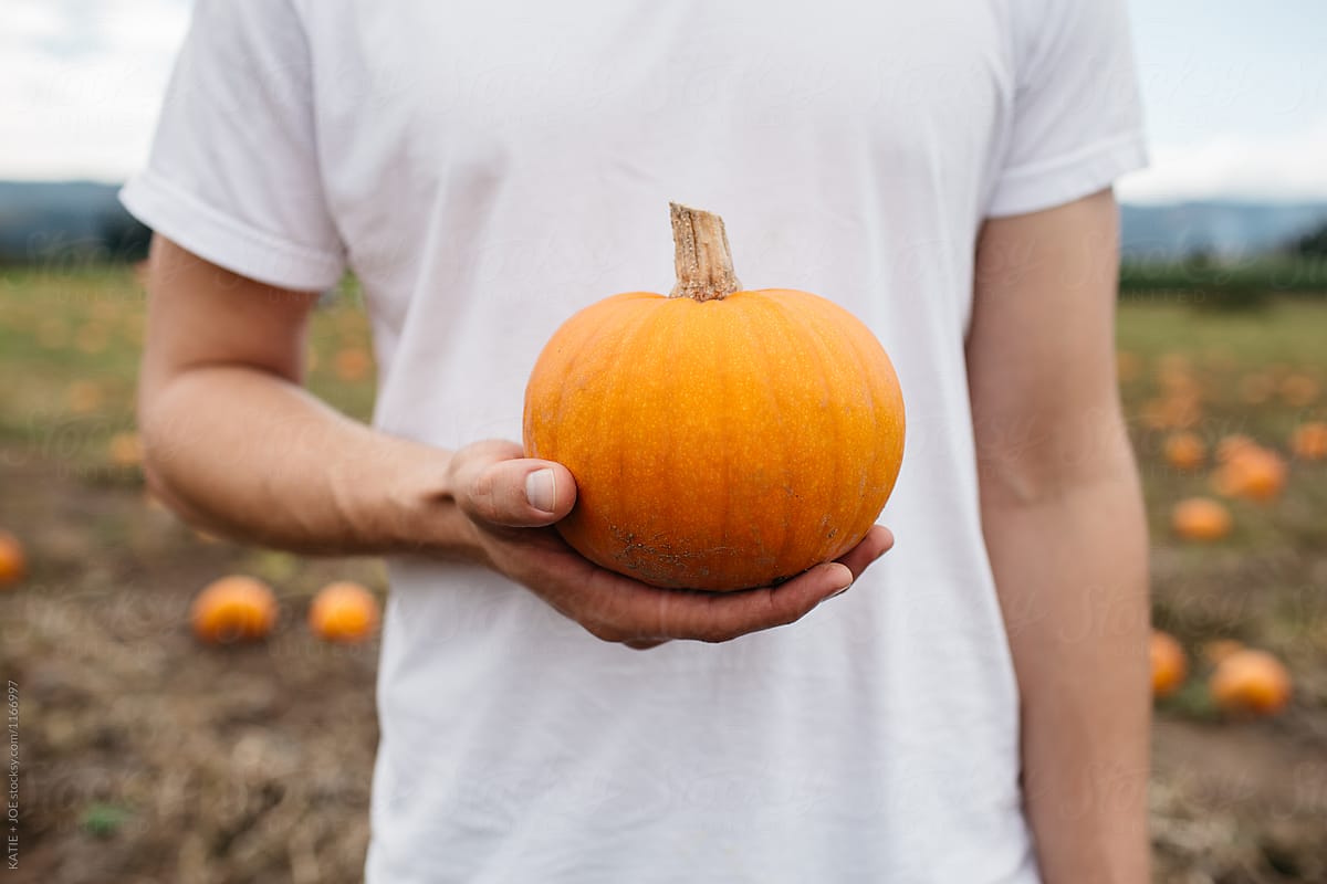 What's your pumpkin carving preference??