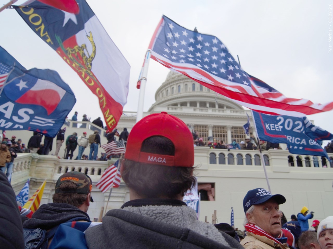 Did you learn anything from the first Jan. 6 committee hearing?