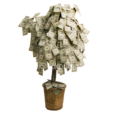Which is more scarce in the Kansas City startup community?