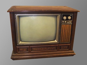 Are Organic TVs the Way of the Future?